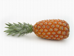 Ananas Sweet de coloration homogène orangée